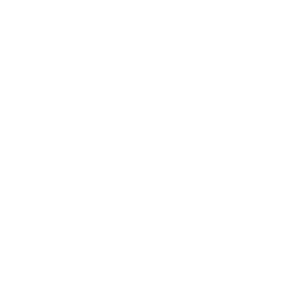 Partridge Cycles