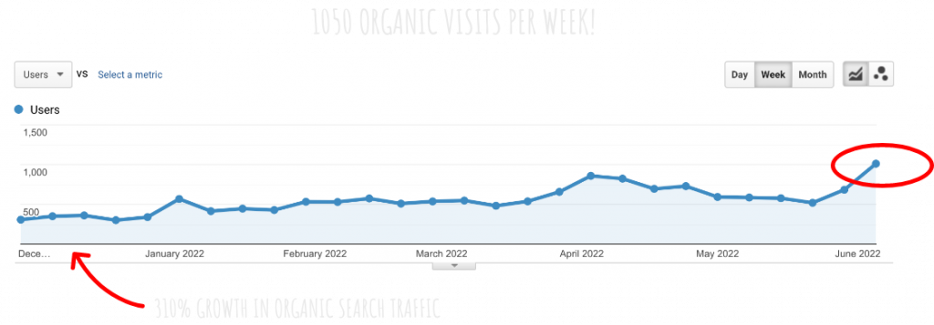 over 1000 website visits in one week