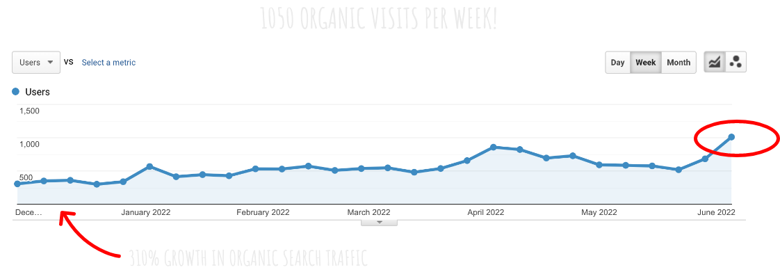 over 1000 website visits in one week